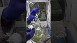 Scaling up of algal cultures. ️ #lablife #science #microalgae #microbiology  #alge #fundraiserevent