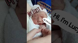 Hello World (Day 1)#first #day1 #viralvideo #shorts #lucy