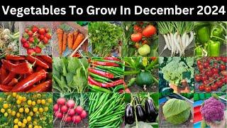 Which vegetables to sow in December 2024 /Vegetables to grow in December