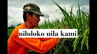 PINAKA-MASAKIT NA KATOTOHANAN SA RICE FARMING