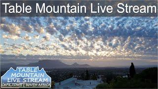 Table Mountain Live Stream | Cape Town | South Africa