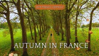 Autumn Cooking In Our Walled Chateau Garden in Brittany | We Finished A HUGE Project