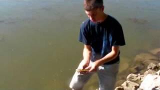 Smashing Spawning Bluegill-Fishing and Fun With JFick-Ohio Outdoors