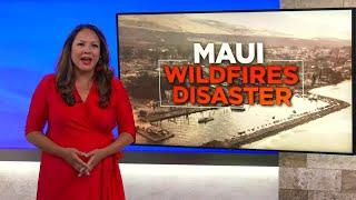 Filipino community leaders ask officials not to ‘forget them’ in Maui wildfire recovery