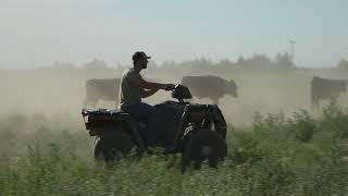 Figuring it out fast at the Flying B Bar Ranch