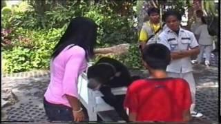 Martin Pattaya Nong Nooch tropical garden.wmv
