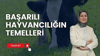 BAŞARILI HAYVANCILIĞIN TEMELLERİ | HAYVANCILIK REHBERİ