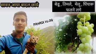 Hill village life in uttarakhand | Village lifestyle vlog |  Pahadi lifestyle | Hill villager