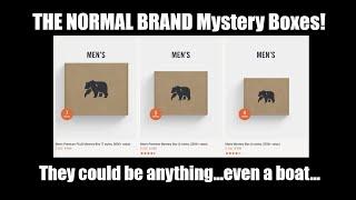 THE NORMAL BRAND Mystery Box | Unboxing and Try On | Puremeso Hoodie, Bomber Jacket, Flannel