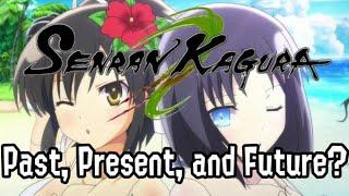 The Tale of the Senran Kagura Series