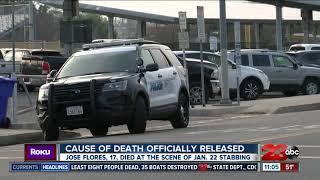 Cause of death in deadly stabbing released