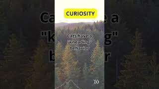 Curiosity Chronicles: Exploring the Unknown