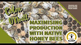 Maximising production with native honey bees - Colm ONeill