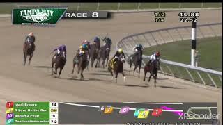 Fixed Horse Race at Tampa Bay Downs. Watch the odds on the #1. Odds change 4 times & end up down 33%