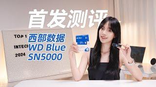 为AI创作而生，西部数据WD Blue SN5000 PCIe4固态硬盘评测 Western Digital  WD Blue SN5000 NVMe  SSD Review