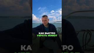 КАК ИЗБАВИТЬСЯ ОТ БОЛЬШОГО ЖИВОТА ? #здоровье #альтернативнаямедицина #животпохудение