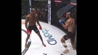 Every FINISH in Michael venom Page BELLATOR FIGHTS | Douglas Lima Anzai Melillo Rainey and more