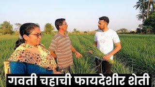 गवती चहाची फायदेशीर शेती कशी करतात | वसई | Profitable farming of Lemon Grass | Vasai