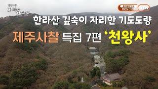 한라산 깊은 곳 기도도량, “제주도에 가보자” 제주사찰 특집 7편 ‘천왕사’