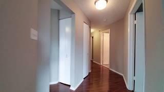 One-Bedroom Apartment in Streeterville, Chicago - Axis Apartments & Lofts