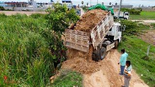 Unexpected Project Enjoy And Expand Trails With D21P Komatsu Bulldozer​ And Dump Trucks Working