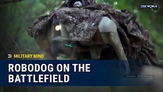 Four-legged robot at war | Military Mind