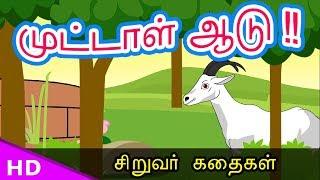 முட்டாள் ஆடு..!! Stupid goat Bed time Story  - KidsTv Sirukathaigal