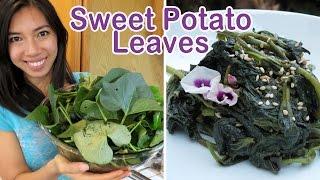 Harvesting & Cooking Sweet Potato Leaves