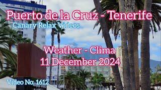 Tenerife ️ Puerto de la Cruz Morning Weather 11 December 2024 Teneriffa