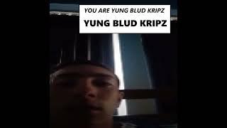 You Are Yung Blud Kripz