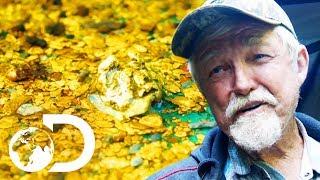 The Crew Finds A Nugget Trap Full Of Gold! | Gold Rush: White Water