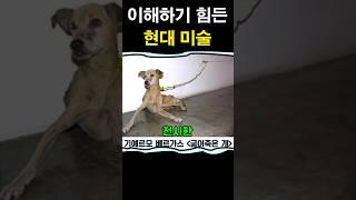 이해하기 힘든 현대미술