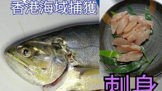 刺身|黃祥魚試食。教你生果刀屋企解決80cm大魚