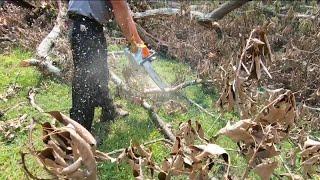 Petersburg National Battlefield reopens after storms downed nearly 200 trees