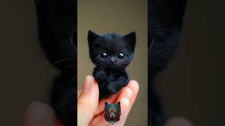 Before & After Animals Growing Up. Amazing Animal Transformation  #short #tiktok #animals