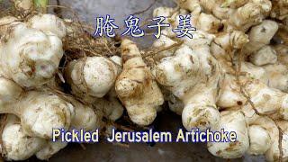 Easy Jerusalem Artichoke Recipe 腌鬼子姜（洋姜）