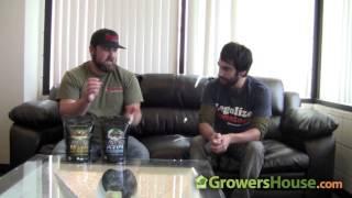 Xtreme Gardening on Azos and Mykos Mycorrhizae