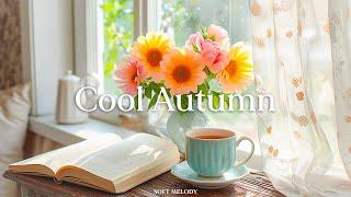 Feel the approaching autumn mood while listening to quiet and peaceful piano music  - Cool autumn