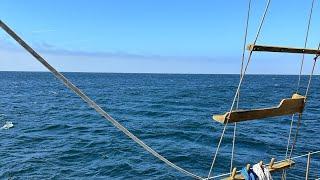 "Voyage of the Lady Mariner:”️‍️