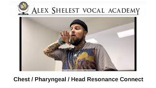 Alex Shelest Vocal Lessons - Chest / Pharyngeal / Head Resonance Connect