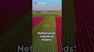 Netherlands Travel Guide: 6 Must-Visit Places for Your European Adventure