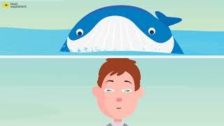 Blue Whale Game Awareness Video