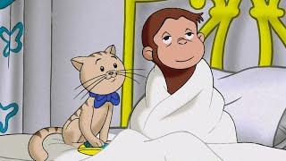 George Is A Sick Monkey!  Curious George | Animal Friends