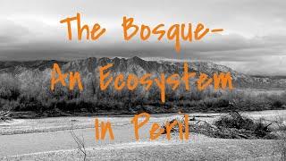 The Bosque: An Ecosystem in Peril