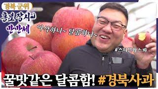 [홍보 장사 만만세] 꿀맛 같은 달콤함, 경북 사과! [6시 내고향] | KBS 221115 방송