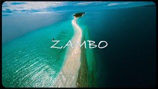 ZAMBO | Cinematic FPV