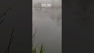 Карасі монстри #fishing #рибалка #shortsfishing