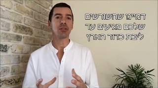 טכניקת קרקוע ומיקוד, בהנחיית דר' ירון זפרן