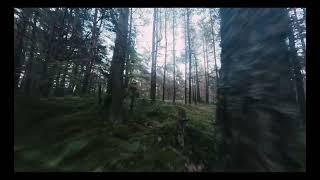 Epic Drone Adventure: Exploring the Enchanting Latvian Forest with Insta Go 2! 