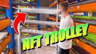 Danish Trolley NFT Vertical Farming System